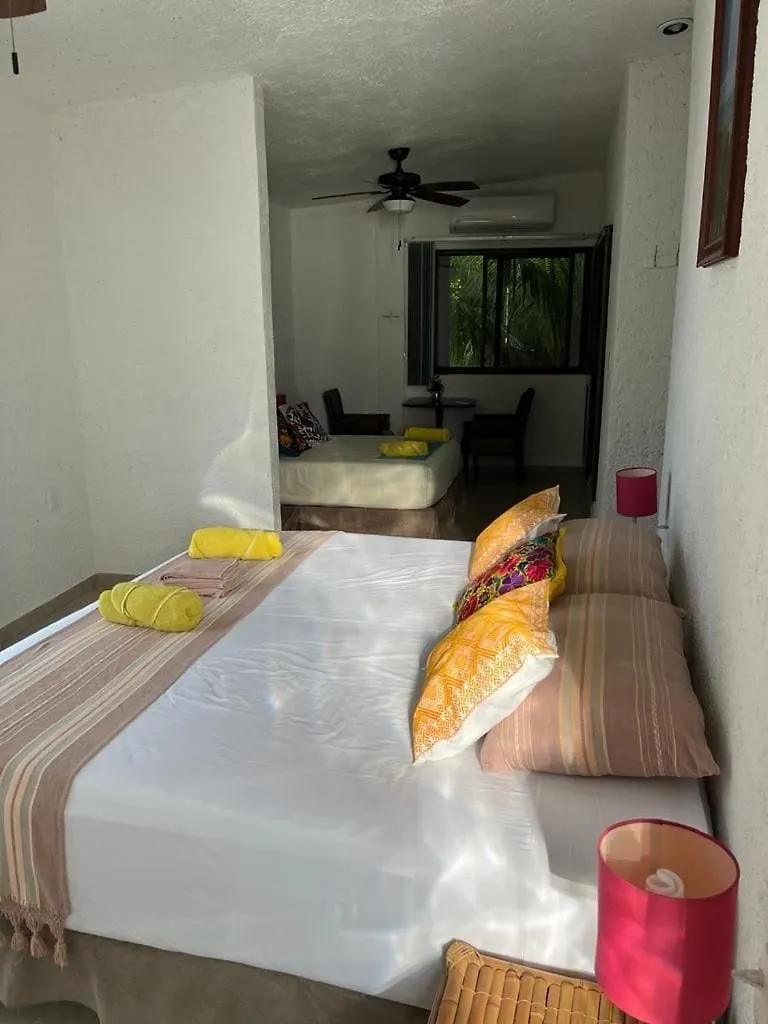 Traditional Beachfront Villa With Cenote, Close To Playa Puerto Morelos 0*,
