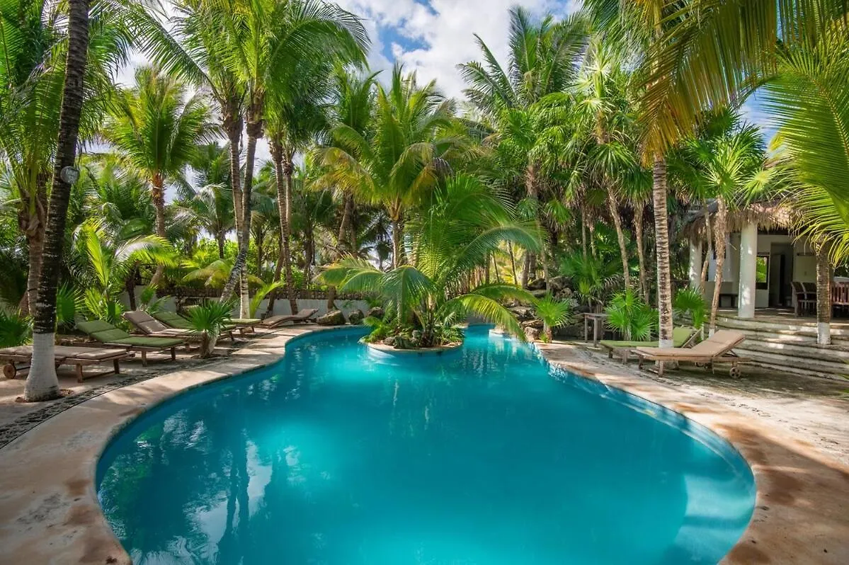 Traditional Beachfront Villa With Cenote, Close To Playa Puerto Morelos Mexico