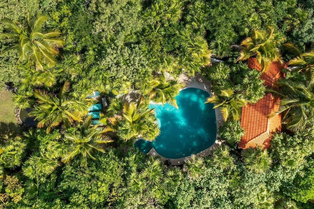 Traditional Beachfront Villa With Cenote, Close To Playa Puerto Morelos Mexico