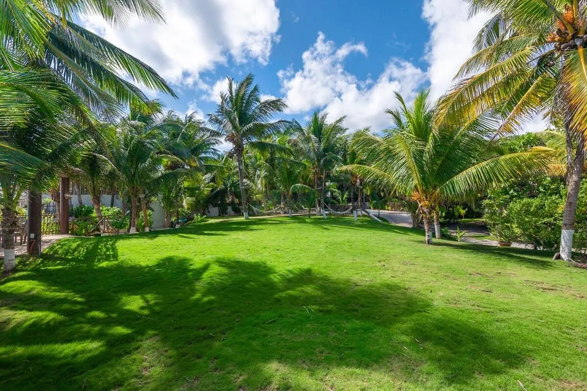 Traditional Beachfront Villa With Cenote, Close To Playa Puerto Morelos