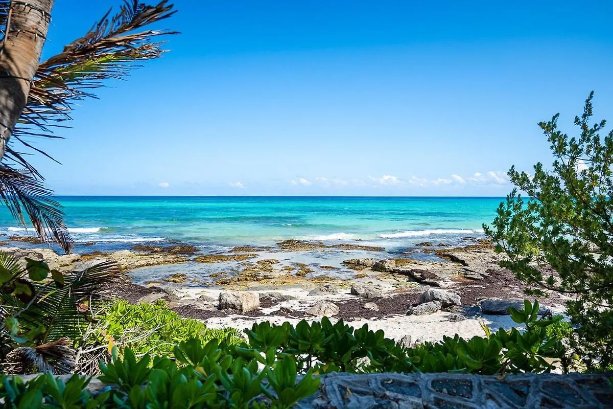 Traditional Beachfront Villa With Cenote, Close To Playa Puerto Morelos