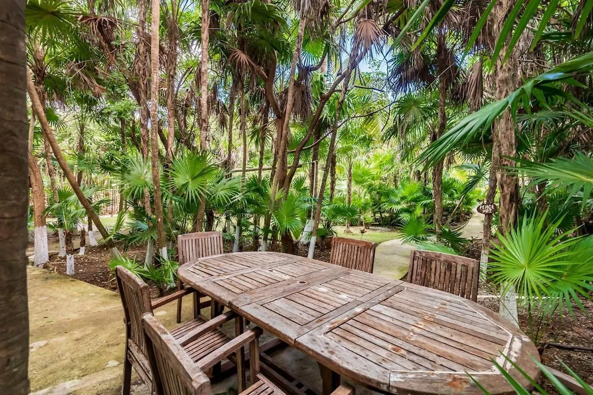 Traditional Beachfront Villa With Cenote, Close To Playa Puerto Morelos