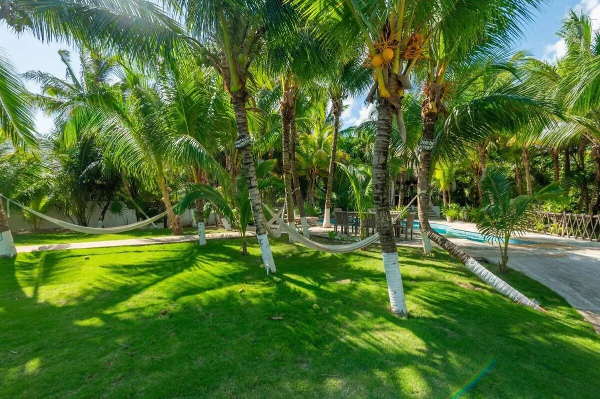 Traditional Beachfront Villa With Cenote, Close To Playa Puerto Morelos