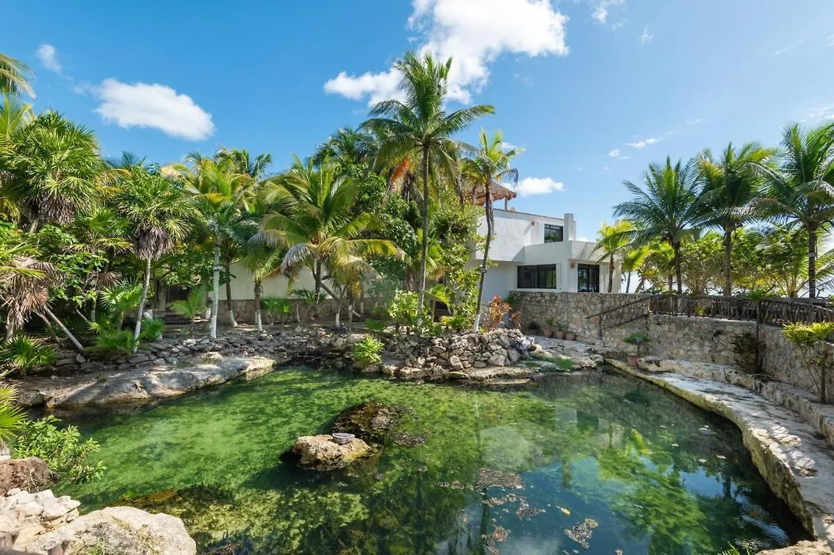 Traditional Beachfront Villa With Cenote, Close To Playa 莫雷洛斯港 0*,